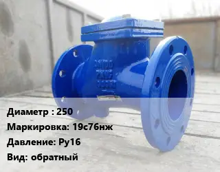 Клапан стальной 250 19с76нж Ру16 обратный